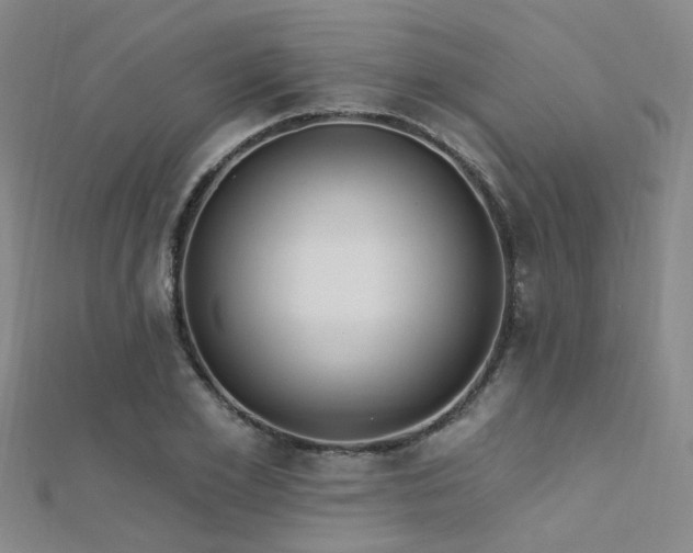X0000112350981200908131425