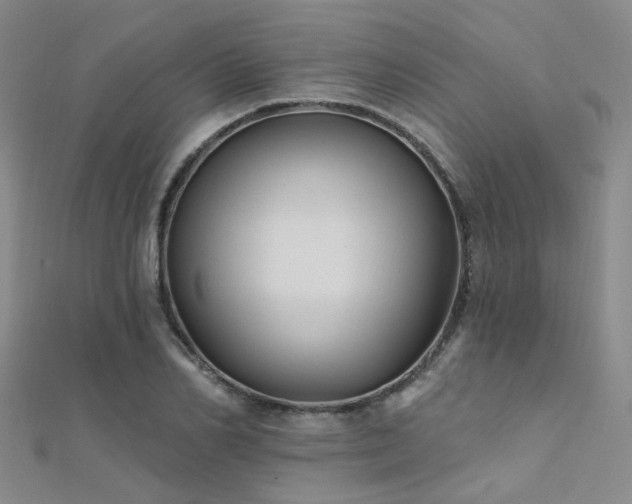 X0000112350982200908131425