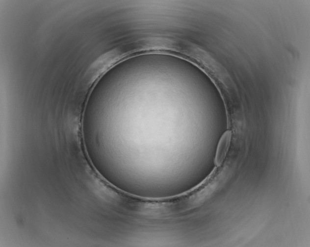 X0000112350985200908131425