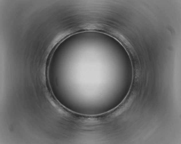 X0000112350986200908131425
