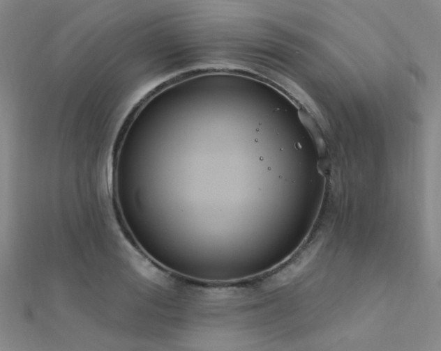 X0000112350988200908131425