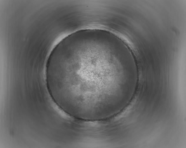 X0000112350990200908131425