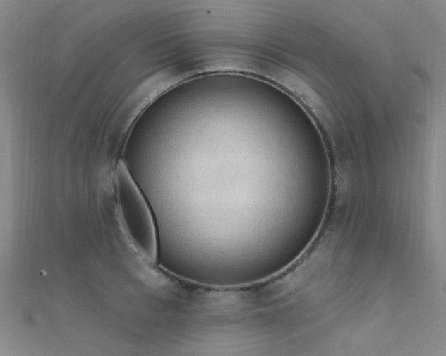X0000112350993200908131425