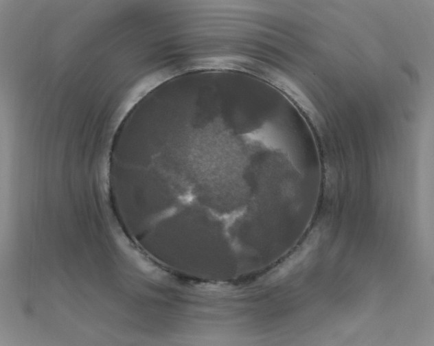 X0000112350994200908131424