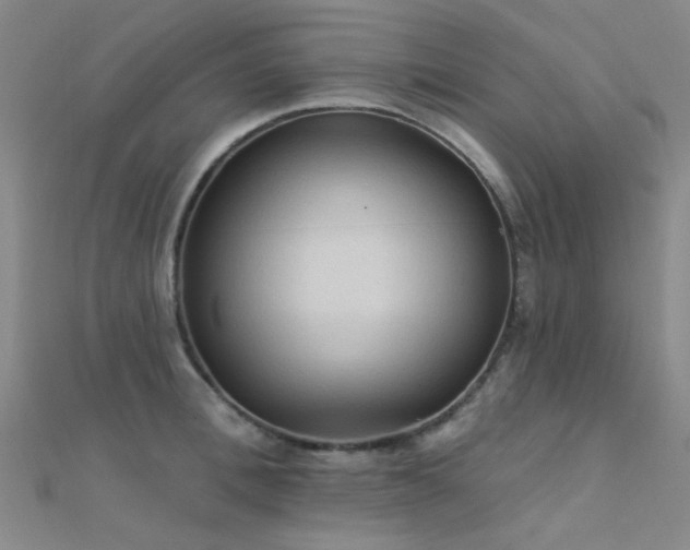 X0000112350996200908131424
