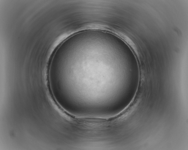 X0000112350997200908131424