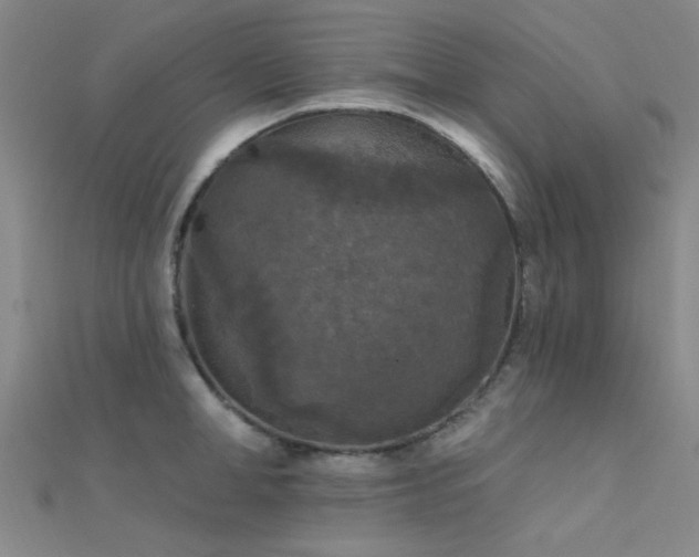 X0000112350998200908131424