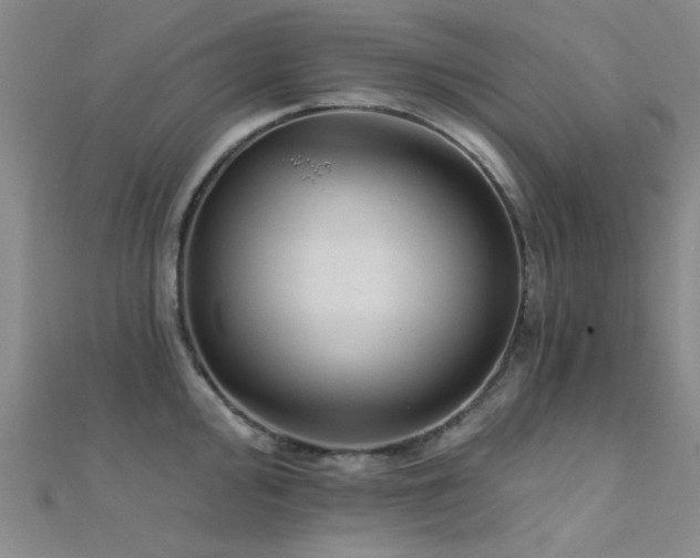 X0000112351000200908131424