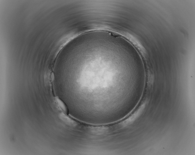 X0000112351001200908131424
