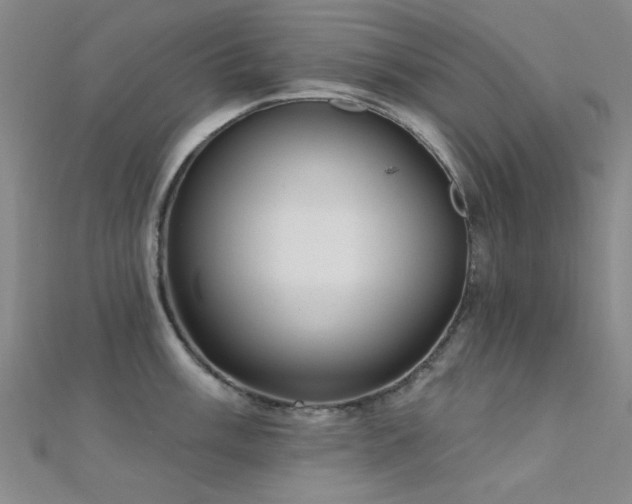 X0000112351003200908131424
