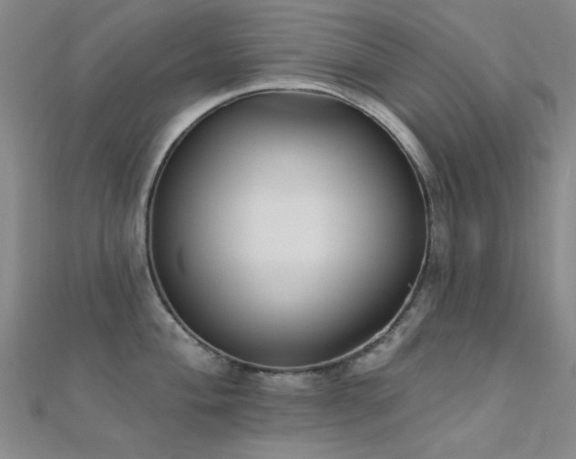 X0000112351004200908131424
