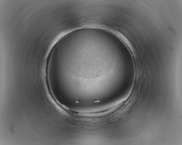 X0000112351005200908131424
