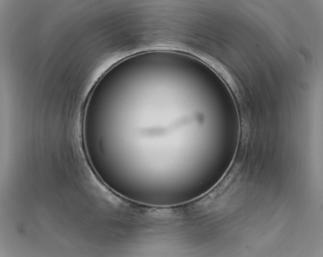 X0000112351006200908131424