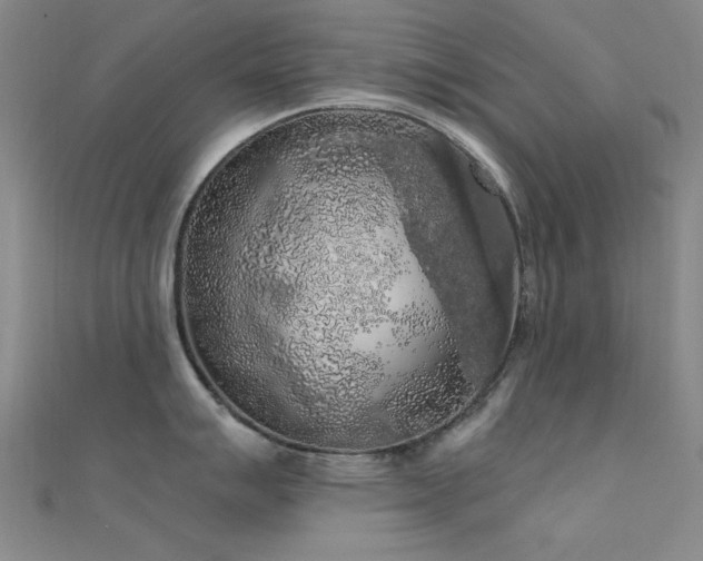 X0000112351007200908131424