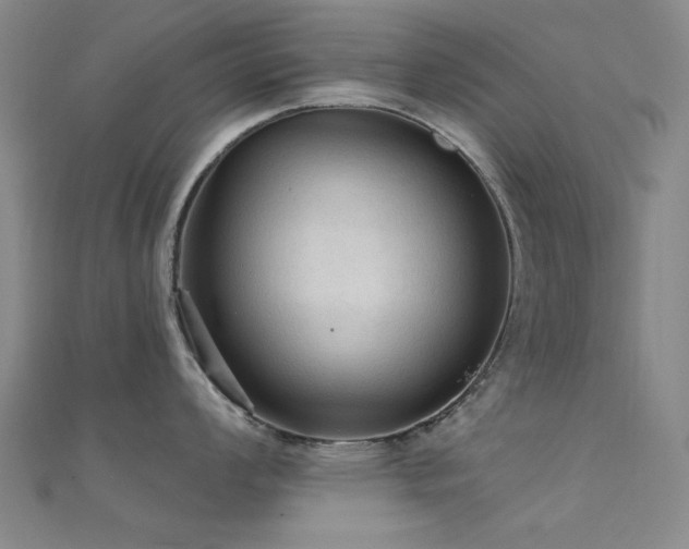 X0000112351008200908131424