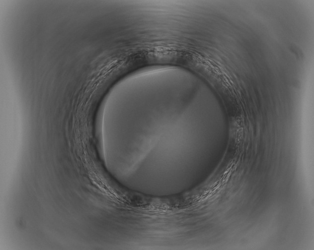 X0000112351009200908131424