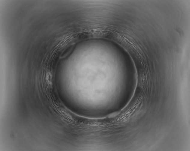 X0000112351010200908131424