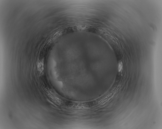 X0000112351011200908131424