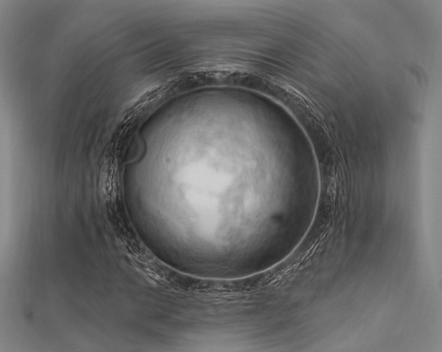 X0000112351014200908131424