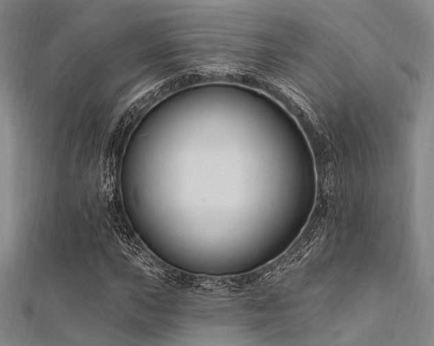 X0000112351015200908131424