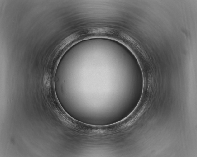 X0000112351017200908131424