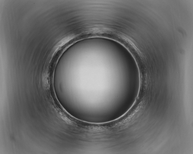X0000112351018200908131424