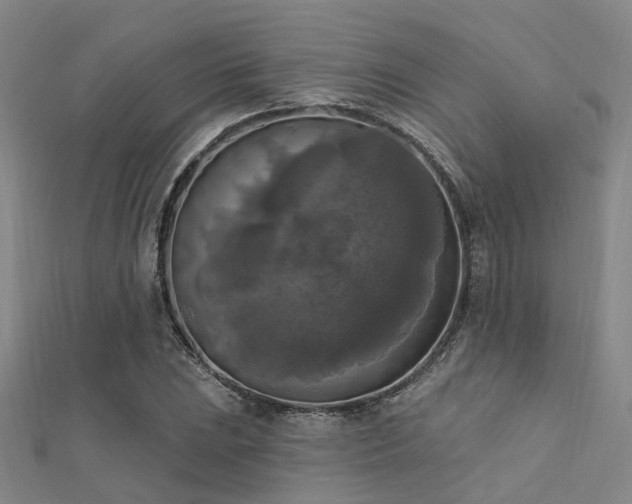 X0000112351023200908131424