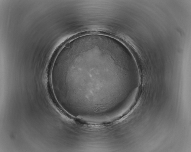 X0000112351024200908131424