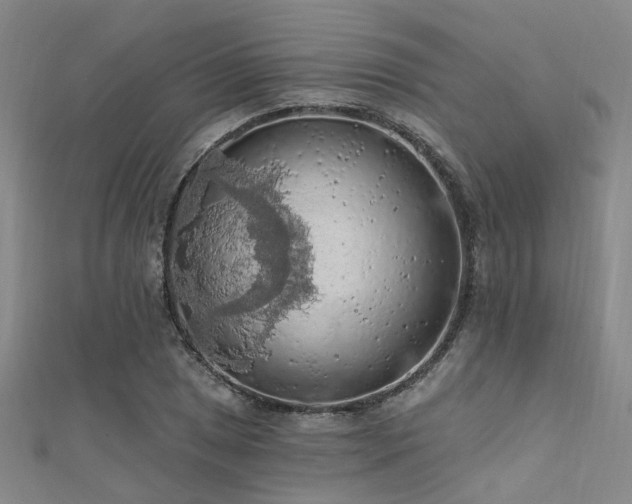 X0000112351025200908131424