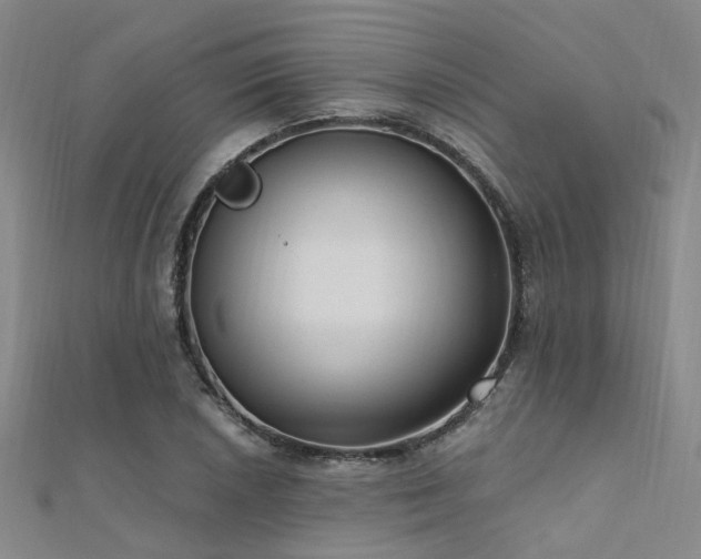 X0000112351026200908131424