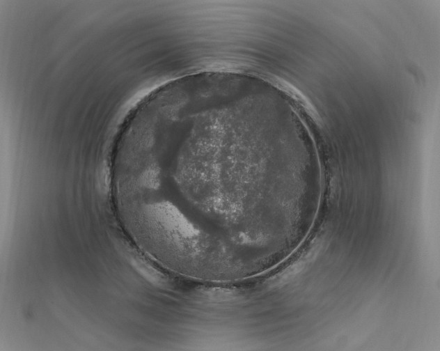 X0000112351027200908131424