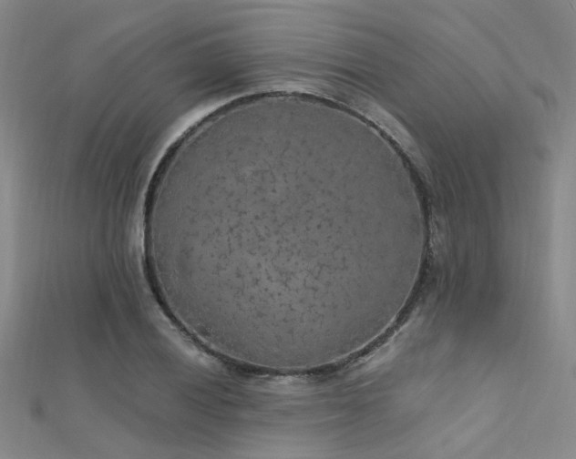 X0000112351028200908131424