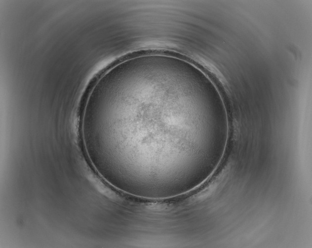 X0000112351029200908131424