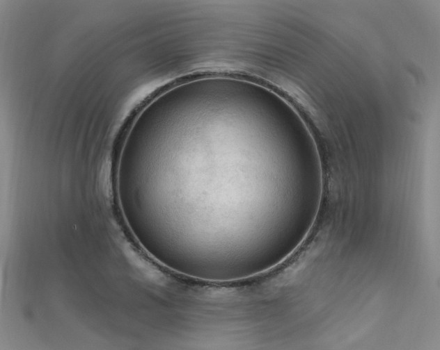 X0000112351030200908131424