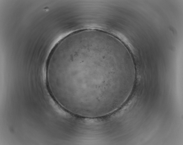 X0000112351032200908131424