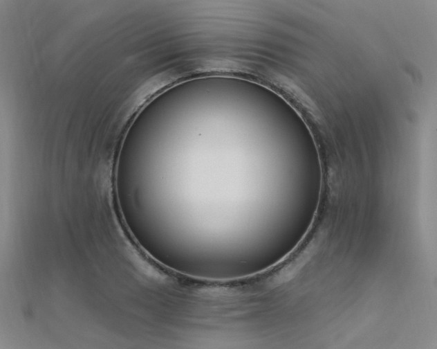 X0000112351033200908131424