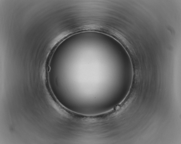 X0000112351034200908131424