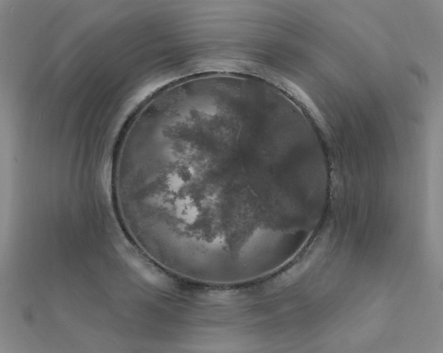 X0000112351035200908131424