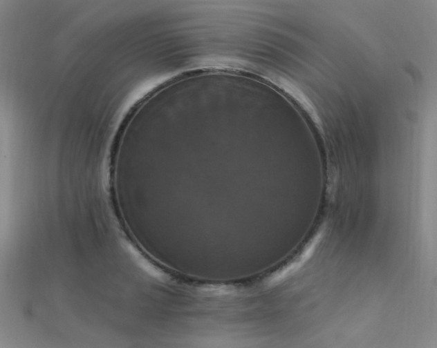 X0000112351037200908131424