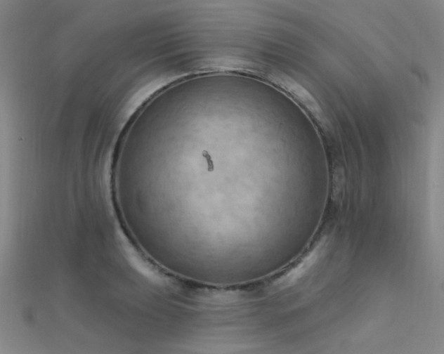 X0000112351039200908131424