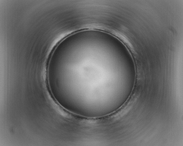 X0000112351040200908131424
