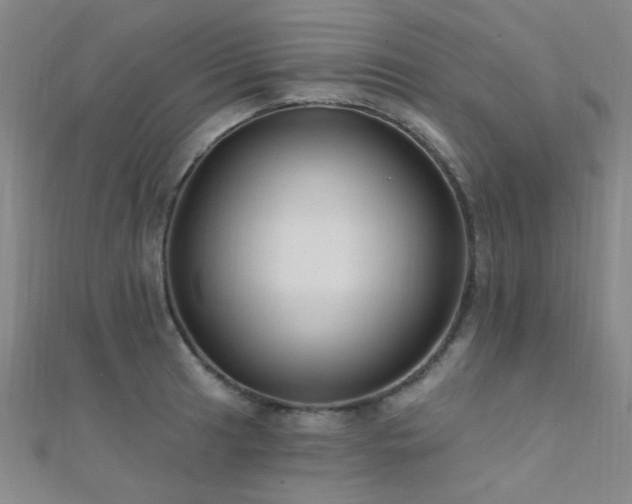 X0000112351041200908131424