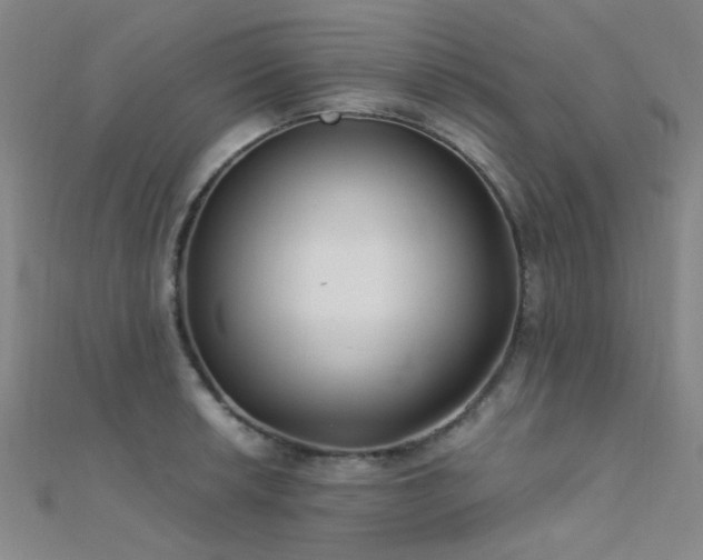 X0000112351042200908131424