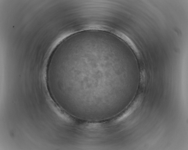 X0000112351043200908131424