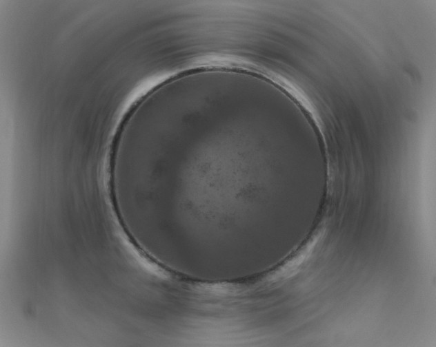 X0000112351045200908131424