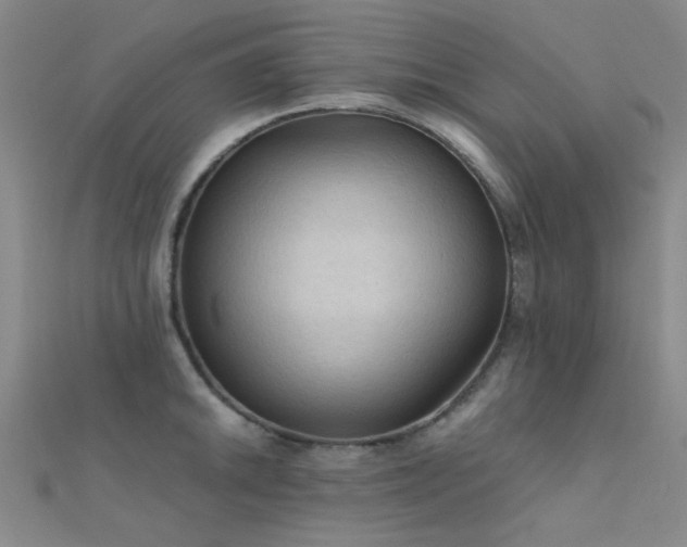 X0000112351046200908131424