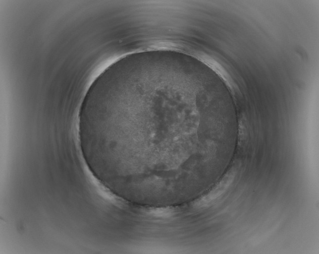 X0000112351047200908131424