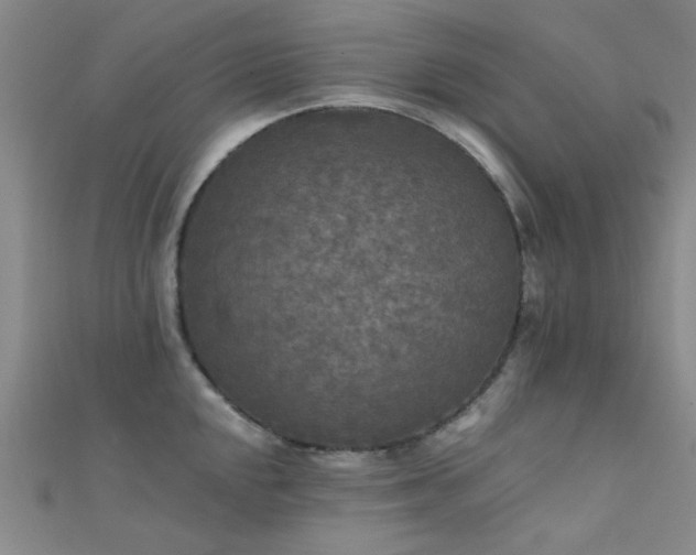 X0000112351048200908131424