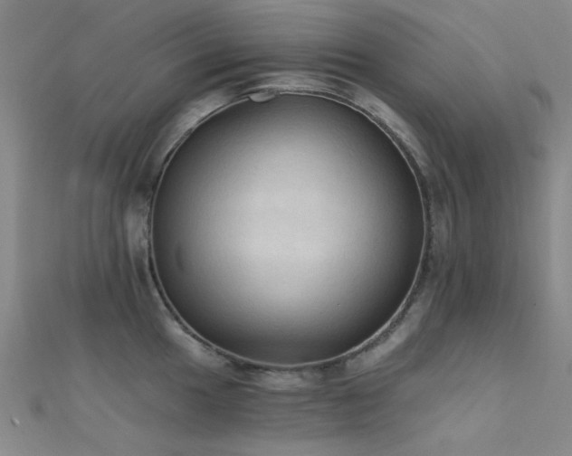 X0000112351049200908131424