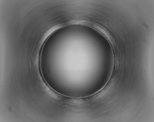 X0000112351050200908131424